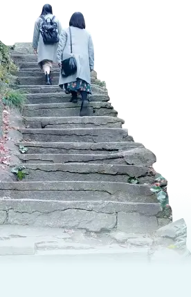 写真：階段を女性2人が登っています